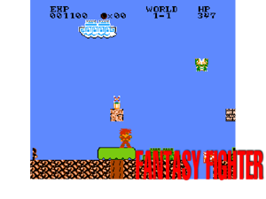 Fantasy Fighter (SMB1 Hack) Cover